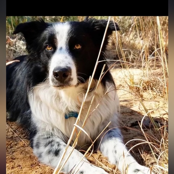 Hand oil painting 11x14 - Picture 3 of 3